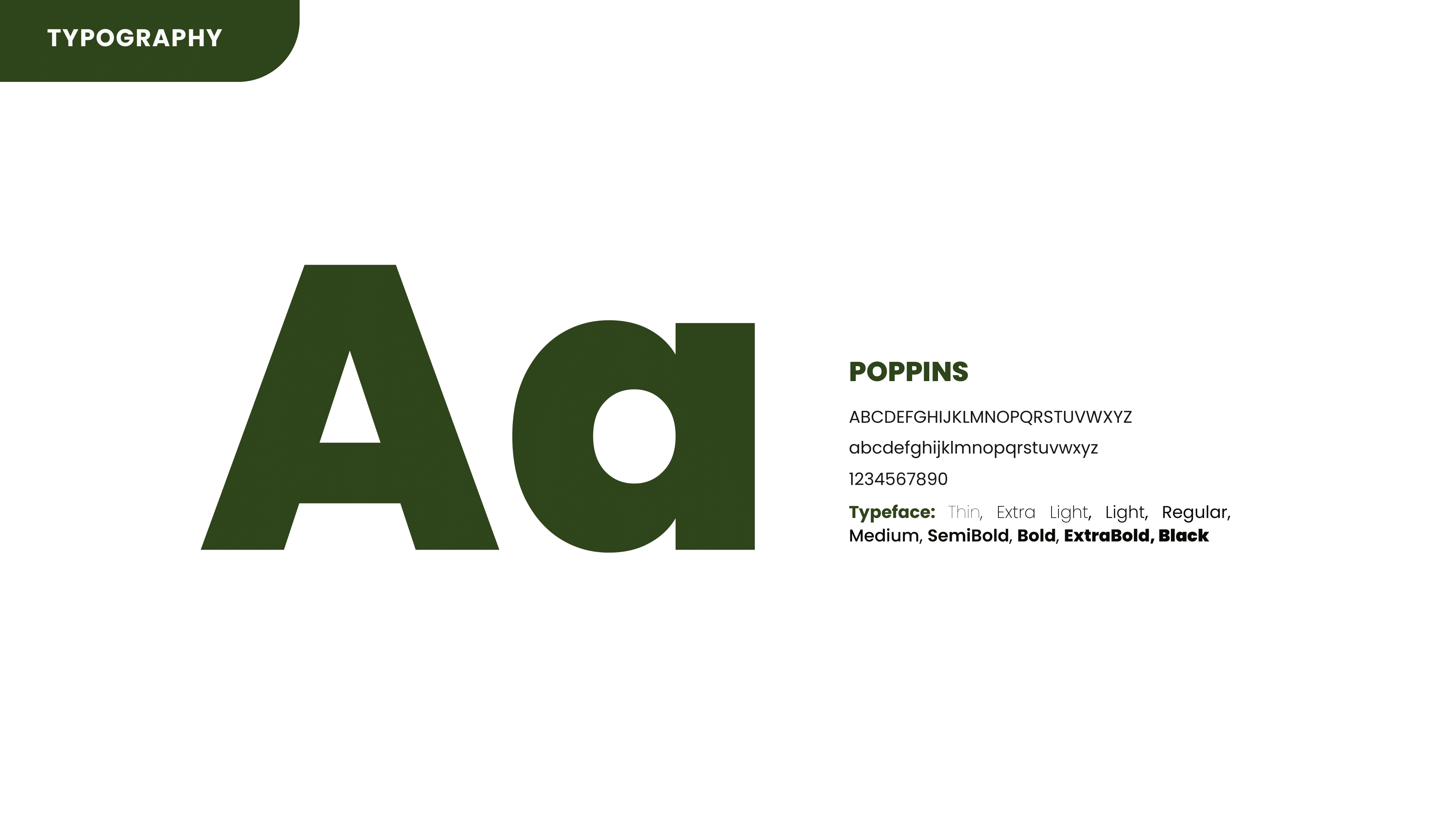 Eccentric Earth Brand Guidelines - Page 15